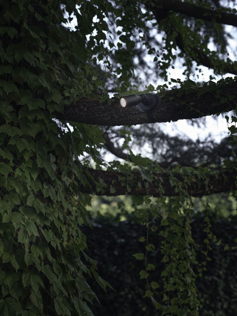 Tree spot