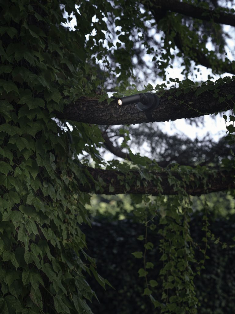Tree spot