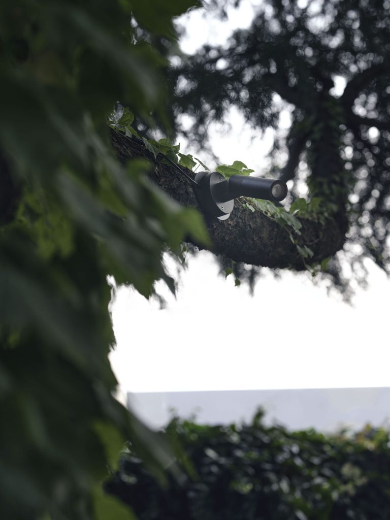 Tree spot