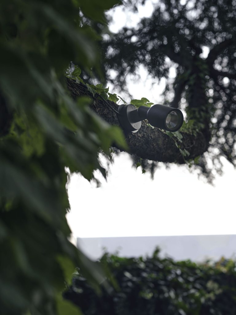 Tree spot