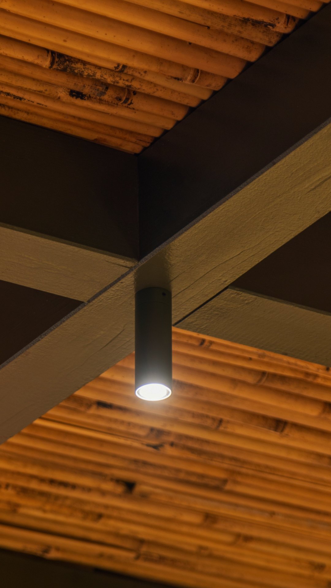 Diomede soffitto forte dei marmi