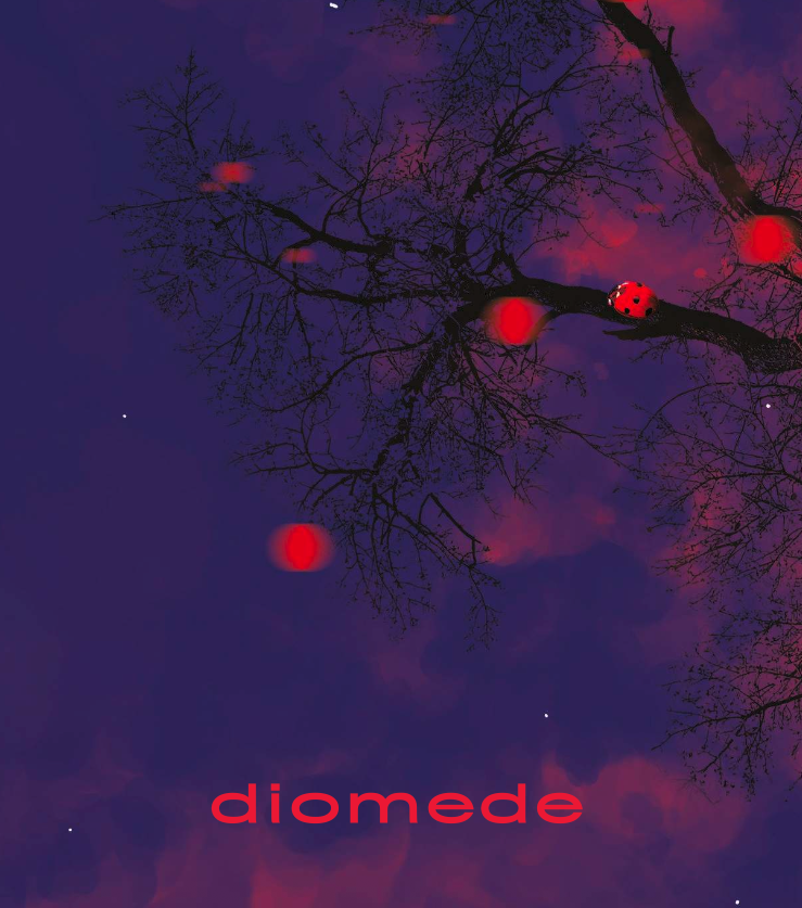 Diomede catalogo 2026